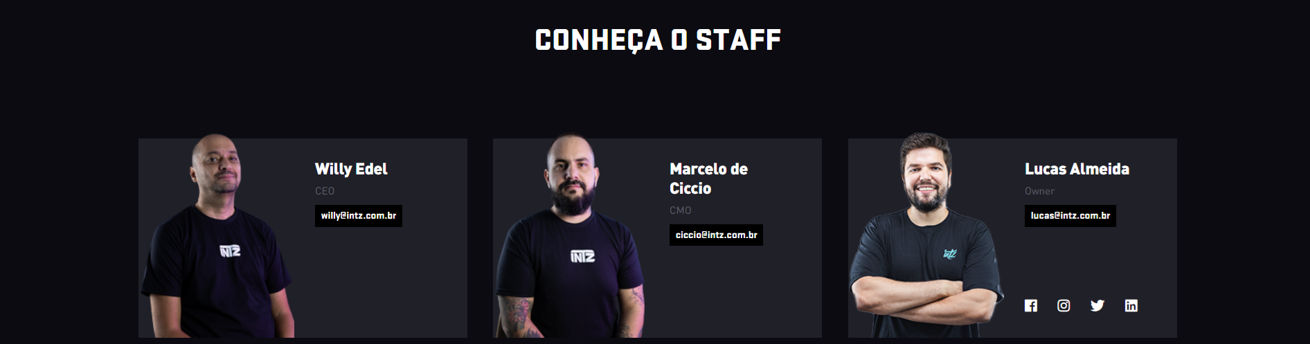 reprodução do site da INTZ