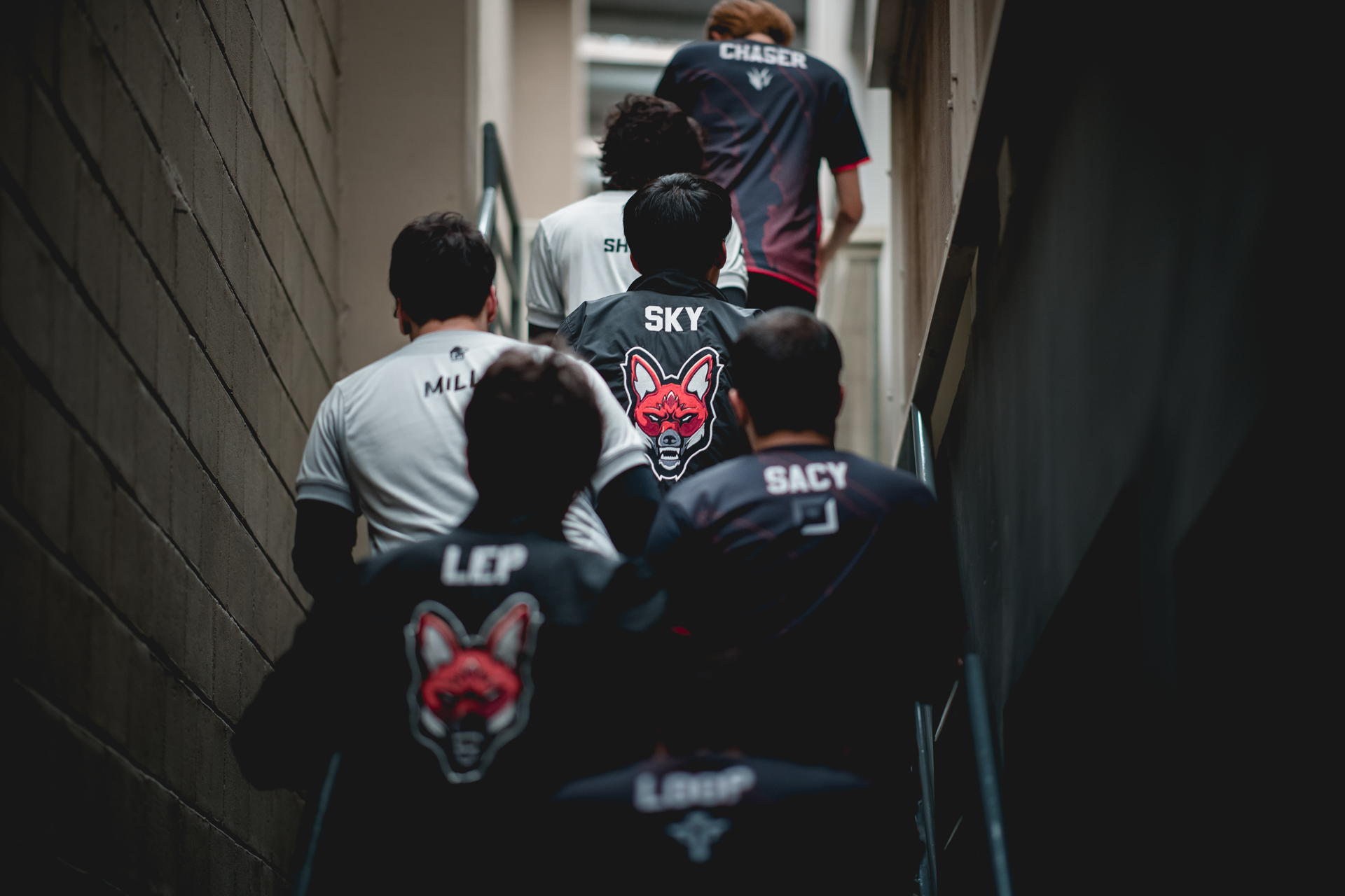 jogadores subindo as escadas no CBLOL 2018